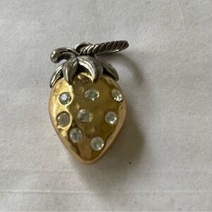 BRIGHTON Charm: Gold and Strawberry slide charm with scattered crystals.